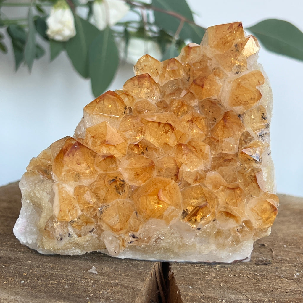 Cluster de Citrin tratat termic| Model 9, pietre semipretioase - druzy.ro 3 