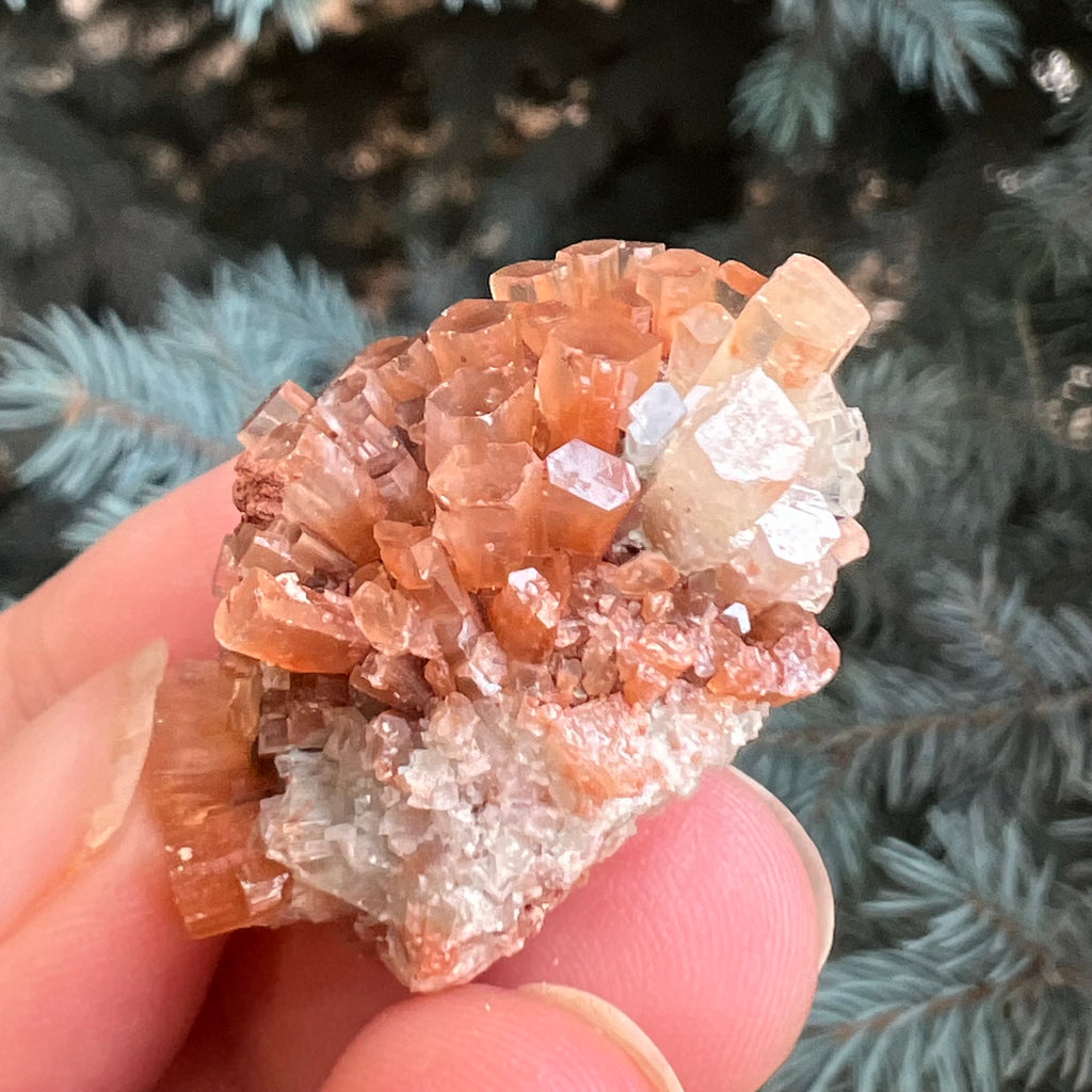 Cluster cristal aragonit din Maroc model 5, druzy.ro, pietre semipretioase 3