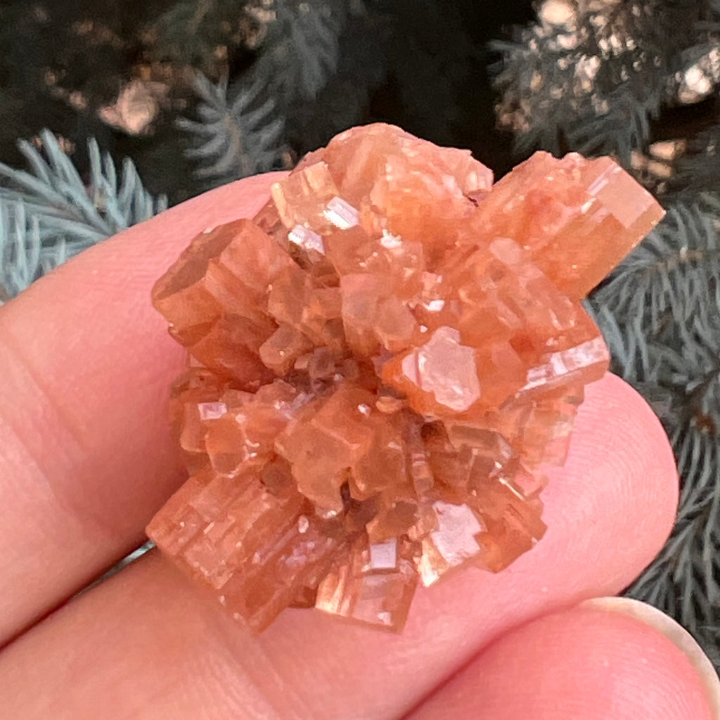 Cluster cristal aragonit din Maroc model 11, druzy.ro, pietre semipretioase 2