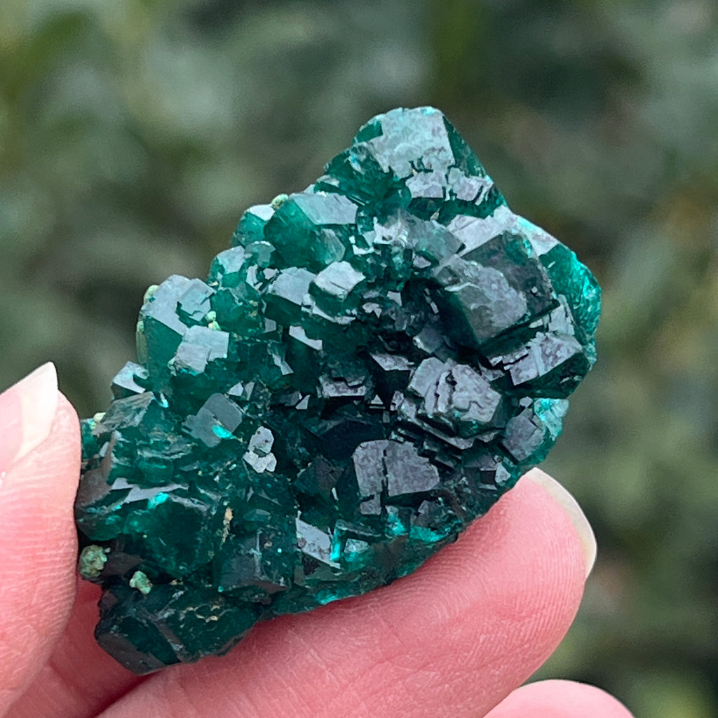 Dioptaz cluster din Congo model 18, pietre semipretioase - druzy.ro 8 