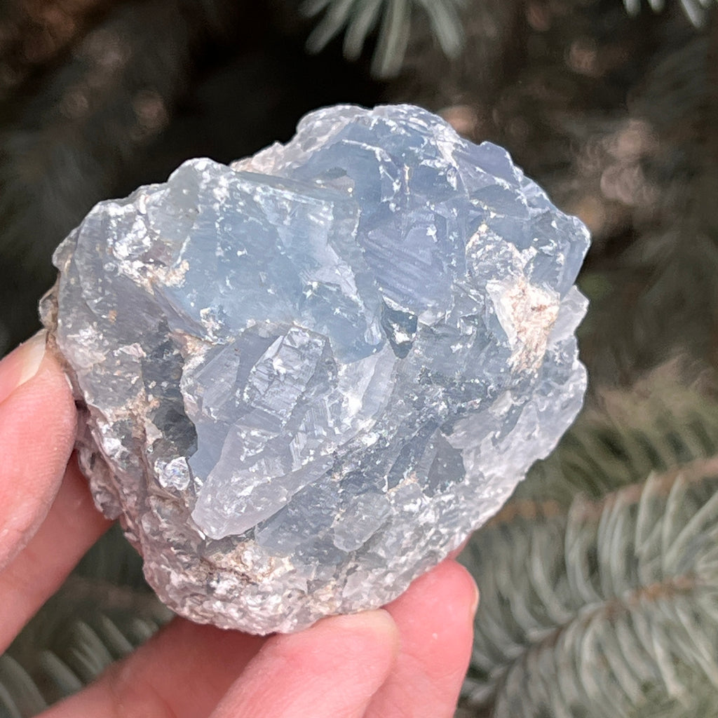 Celestit / celestina cluster m5, pietre semipretioase - druzy.ro 4 