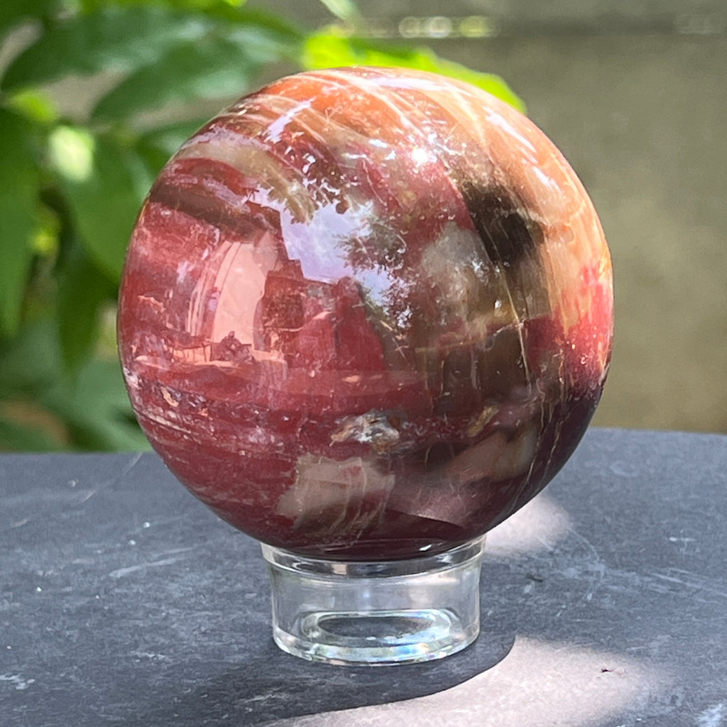 Sfera lemn pietrificat | Model 4, pietre semipretioase - druzy.ro 3 