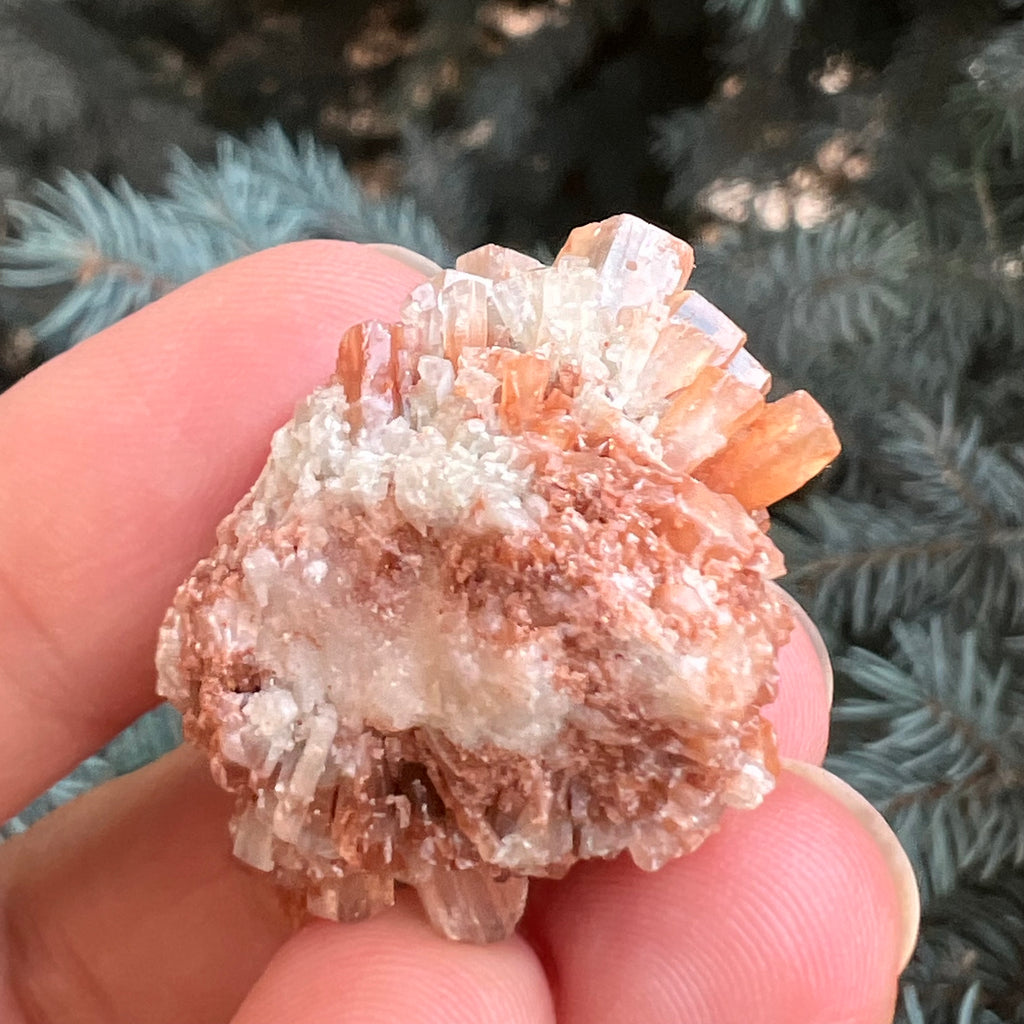 Cluster cristal aragonit din Maroc model 5, druzy.ro, pietre semipretioase 6