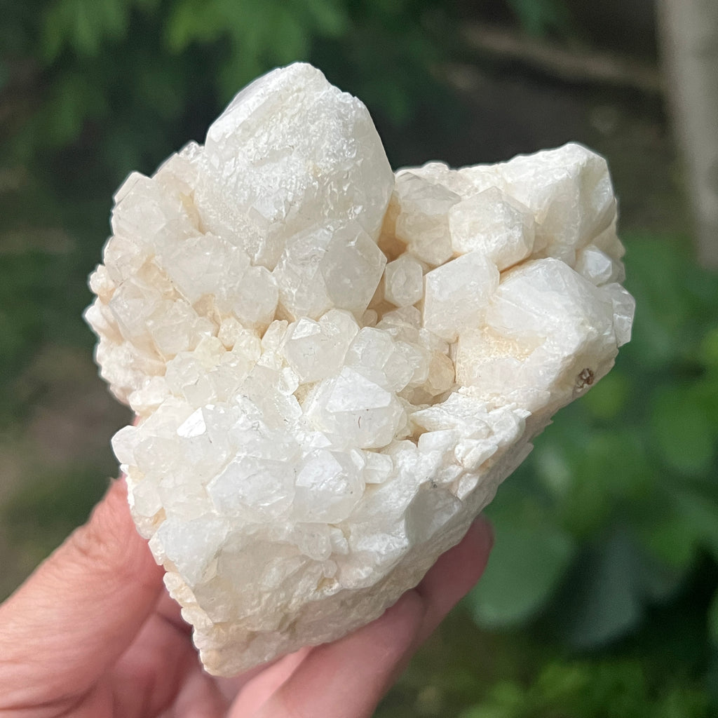 Cluster cuart fantoma, cuart ananas, cuart de stanca din Madagascar model 15, pietre semipretioase - druzy.ro 4 