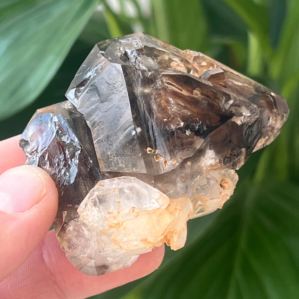 Cuart fumuriu generator/varf mina Brandberg | Model L14, pietre semipretioase - druzy.ro 2 