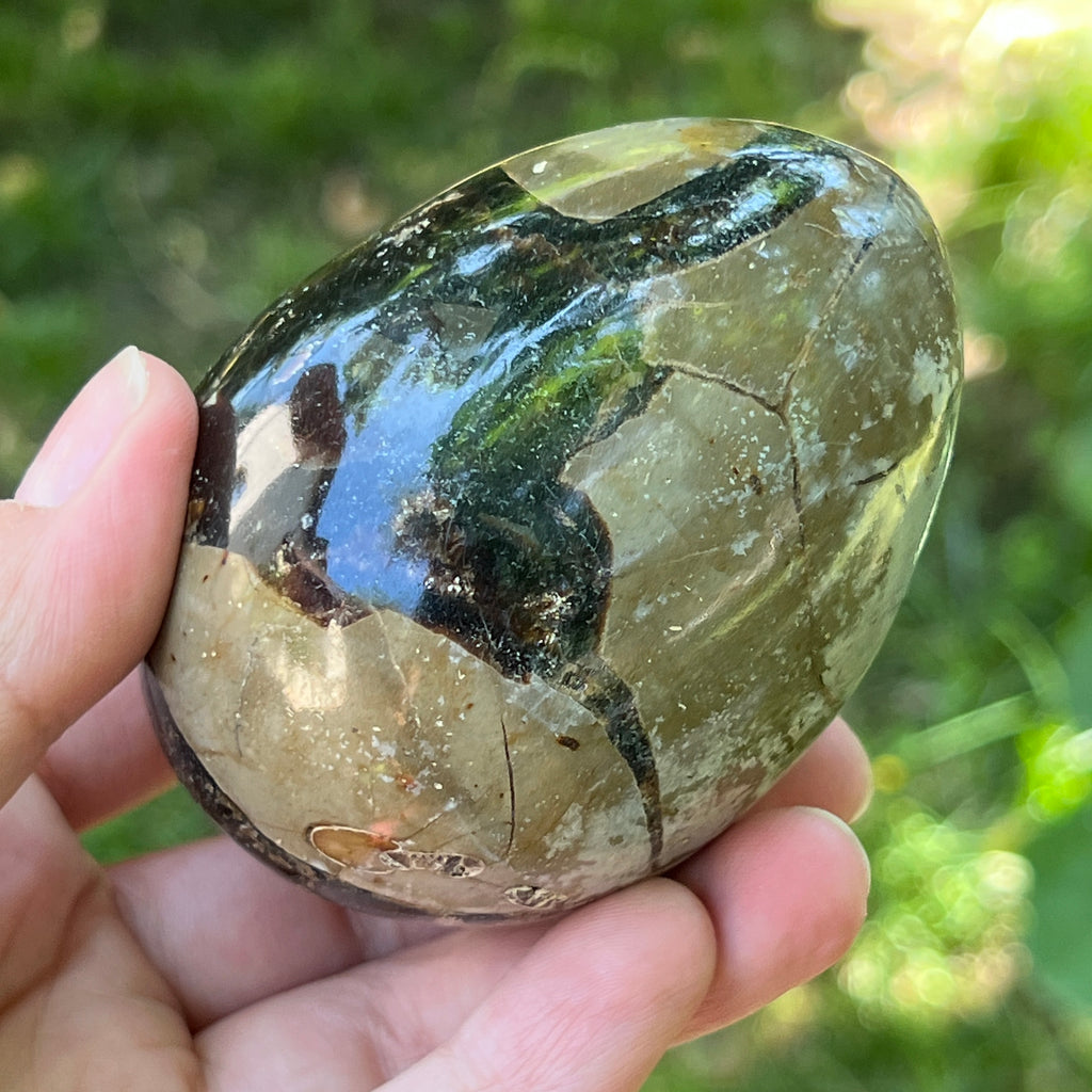 Ou Septaria din Madagascar , piatra dragonului | Model 8, pietre semipretioase - druzy.ro 2 