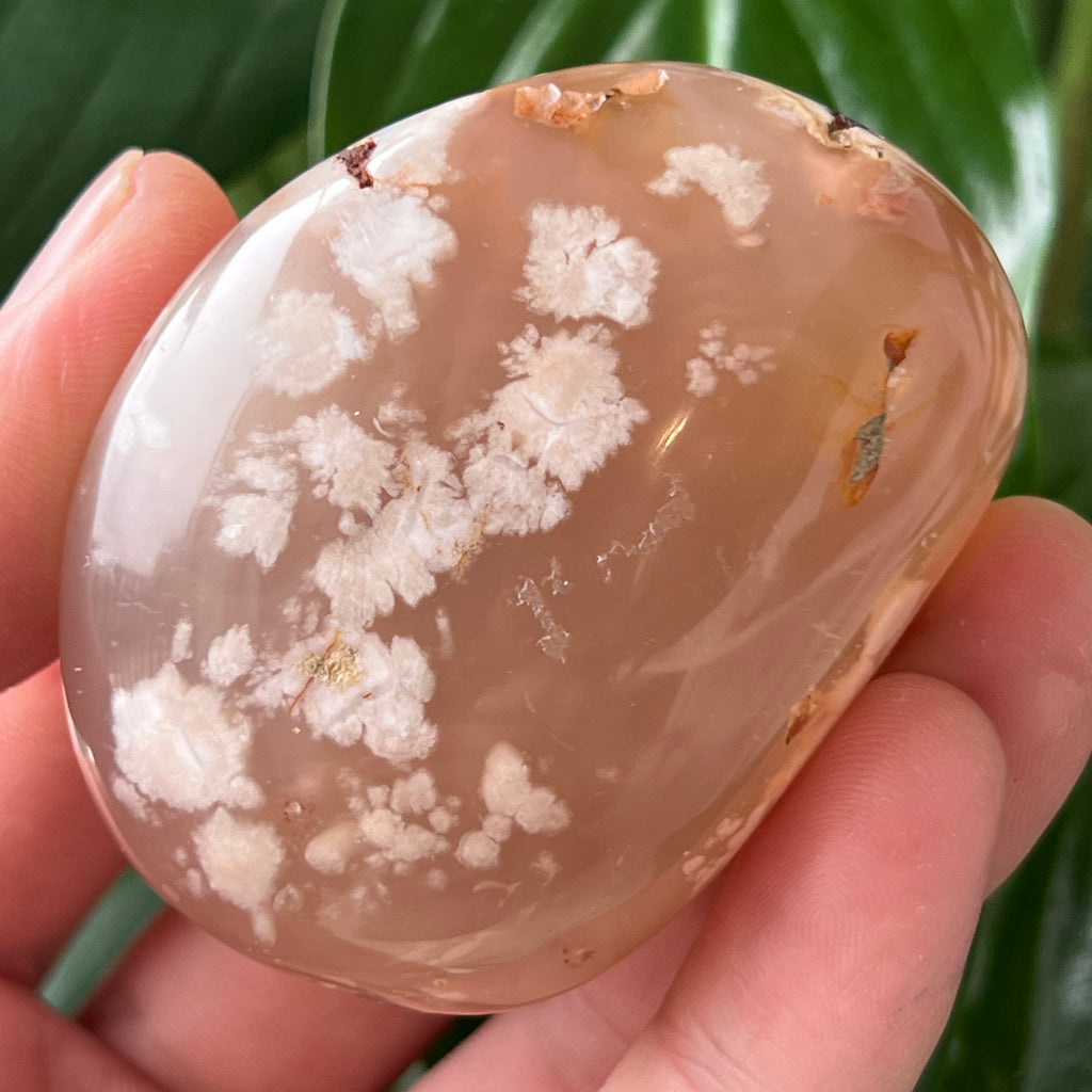 Palmstone agat coral floare rosu m10, pietre semipretioase - druzy.ro 2 