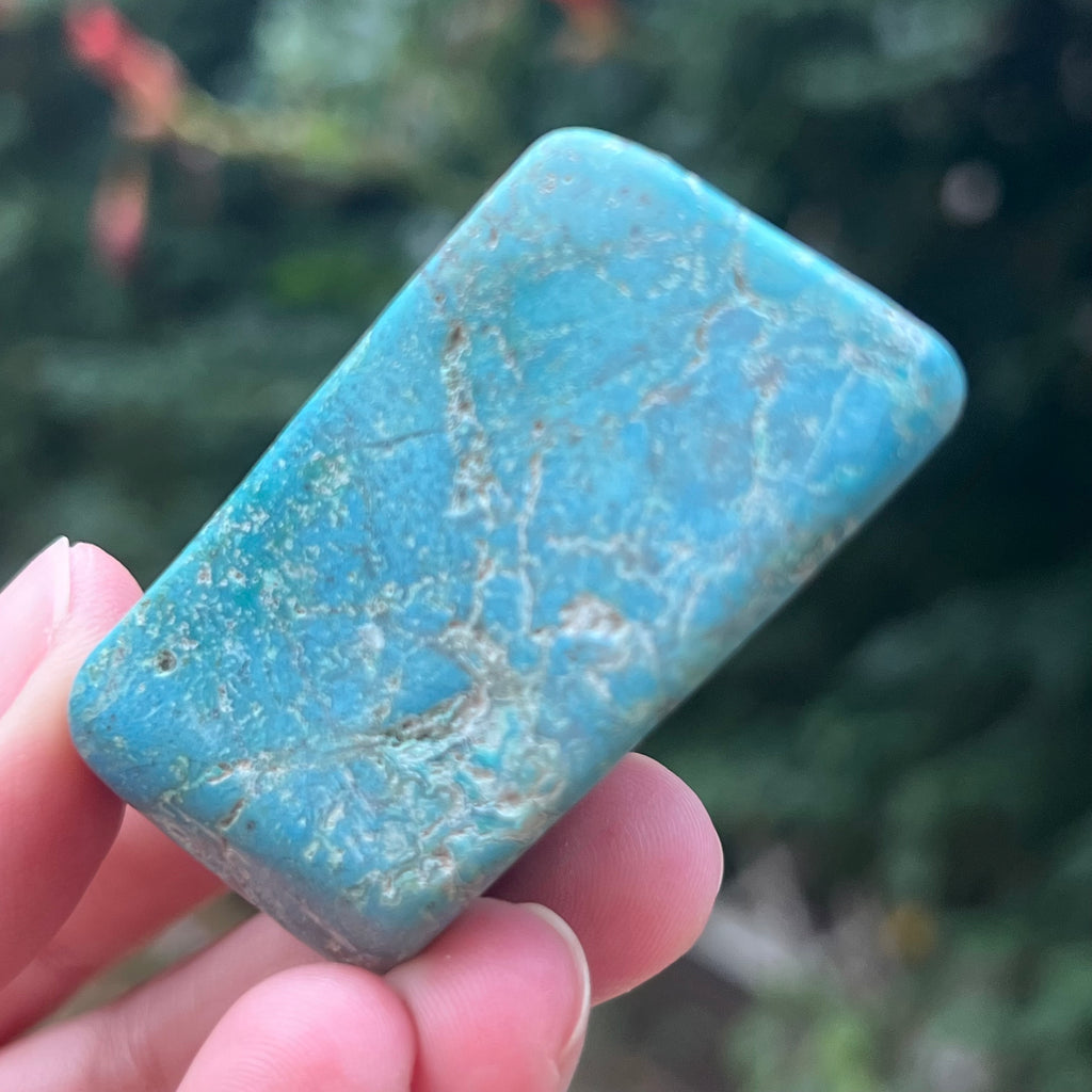 Forma libera/palmstone Shattuckite m2, druzy.ro, pietre semipretioase 1