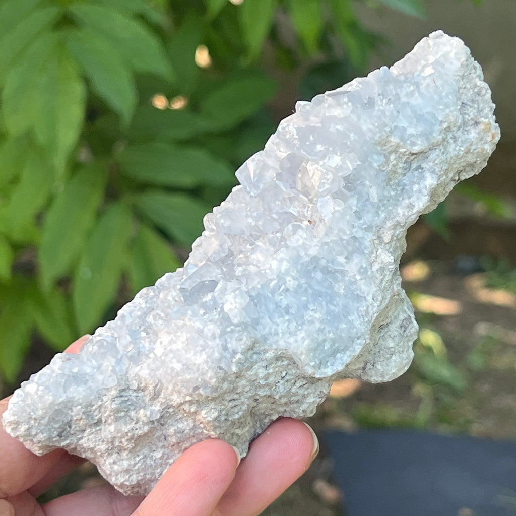 Celestit / celestina cluster m8, pietre semipretioase - druzy.ro 5 