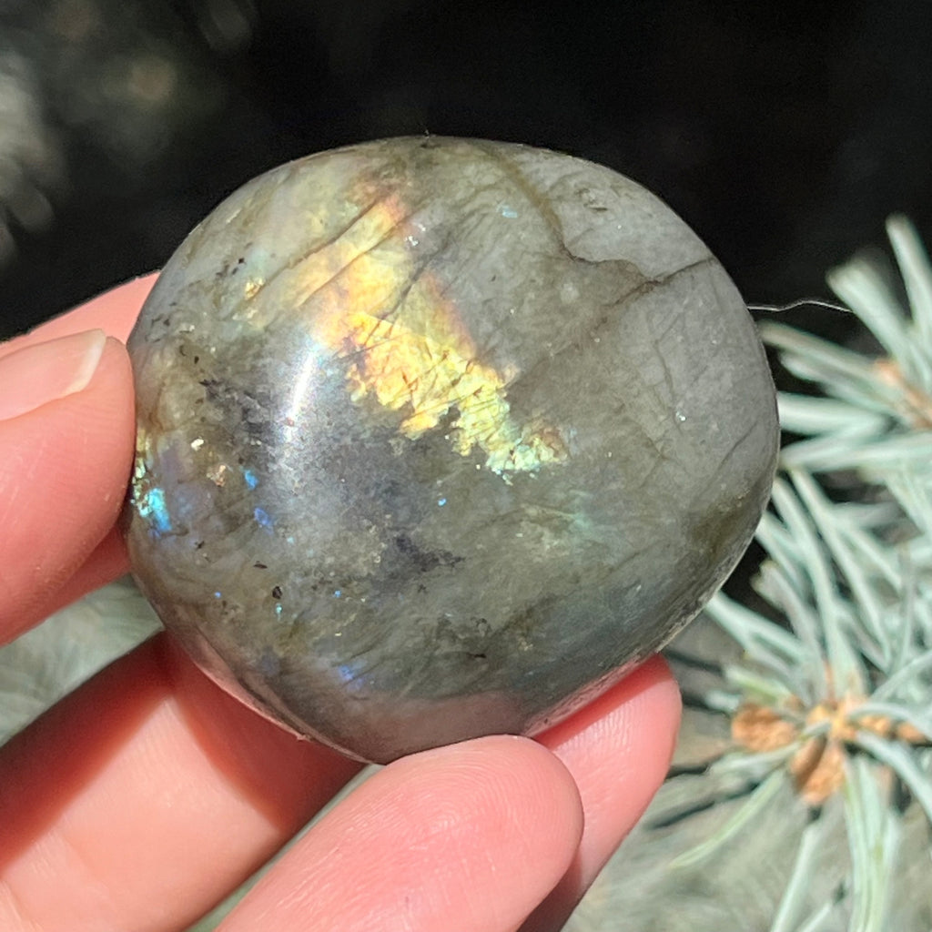 Labradorit palm stone m18, druzy.ro, cristale 1