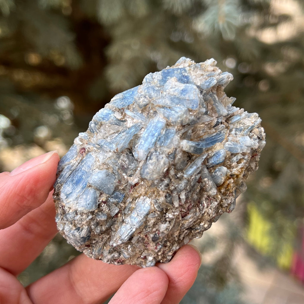 Kianit albastru (Cianit) piatra bruta din Zimbabwe model 5, druzy.ro, cristale 2