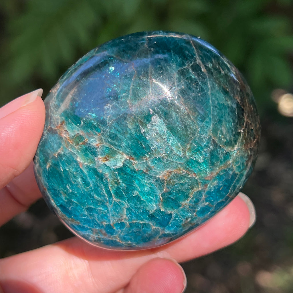 Apatit rulat palmstone | Model 18, pietre semipretioase - druzy.ro 2 