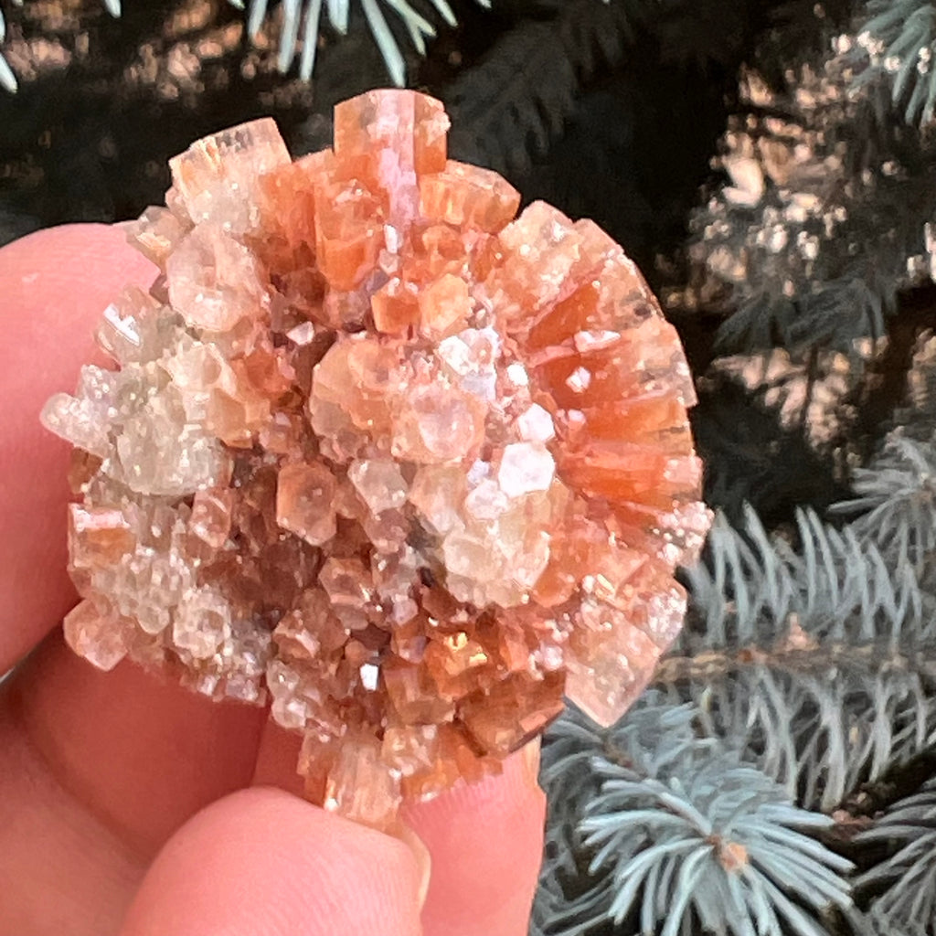 Cluster cristal aragonit din Maroc model 12, druzy.ro, pietre semipretioase 4