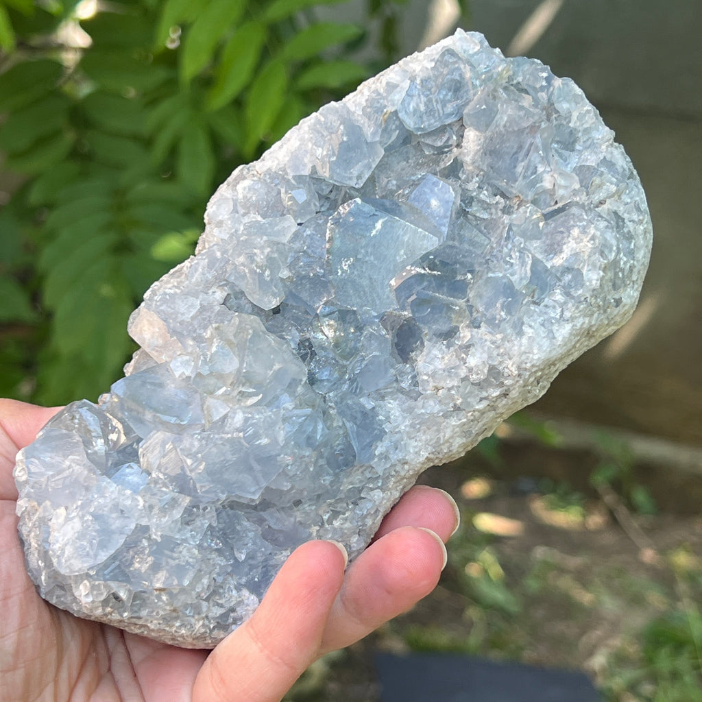Celestit / celestina cluster m6, pietre semipretioase - druzy.ro 6 