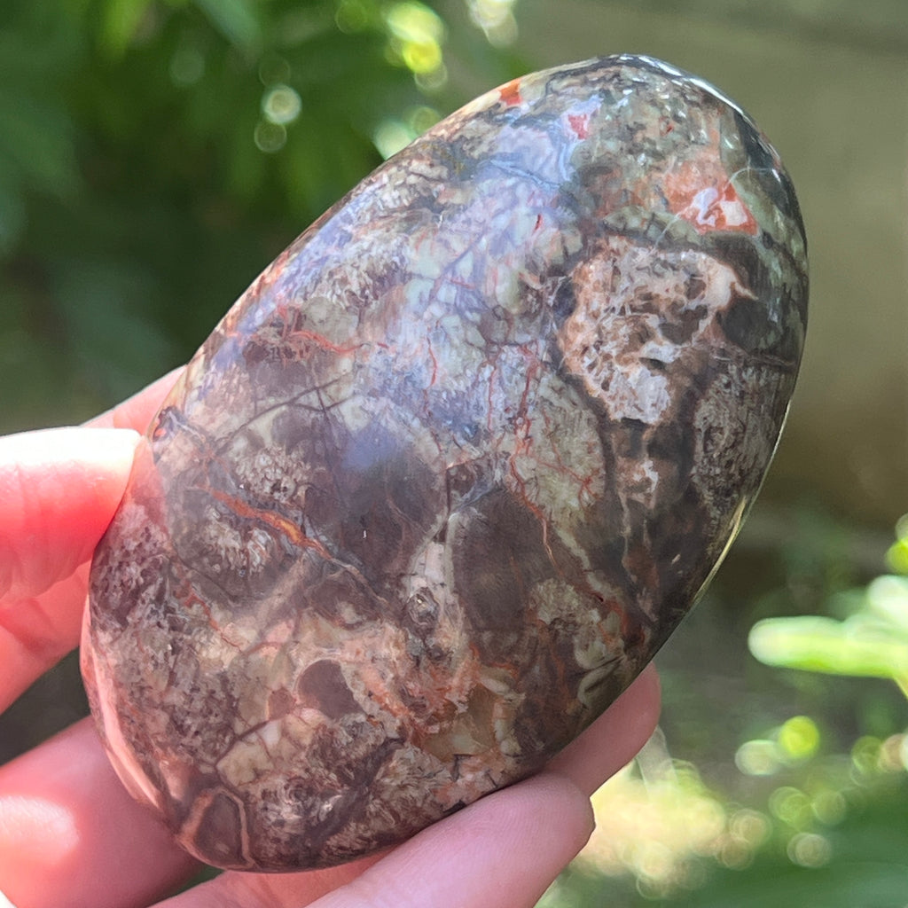 Palmstone riolit de munte | Model 5, pietre semipretioase - druzy.ro 3 