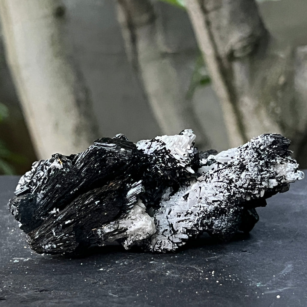 Cluster turmalina neagra model 11 din Erongo, Namibia, pietre semipretioase - druzy.ro 2 