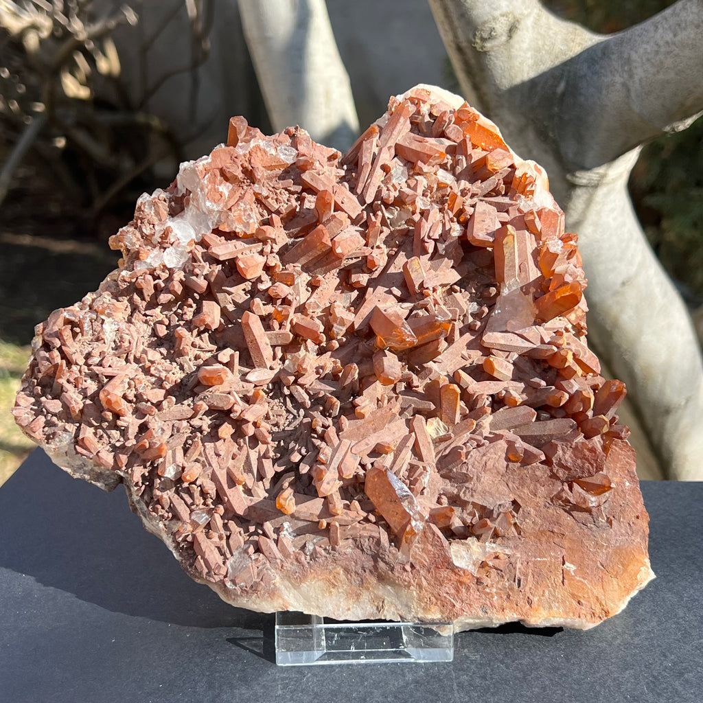 Cluster cuart tangerian 22 * 18 cm, druzy.ro, cristale 5