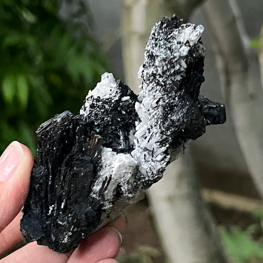 Cluster turmalina neagra model 11 din Erongo, Namibia, pietre semipretioase - druzy.ro 4 