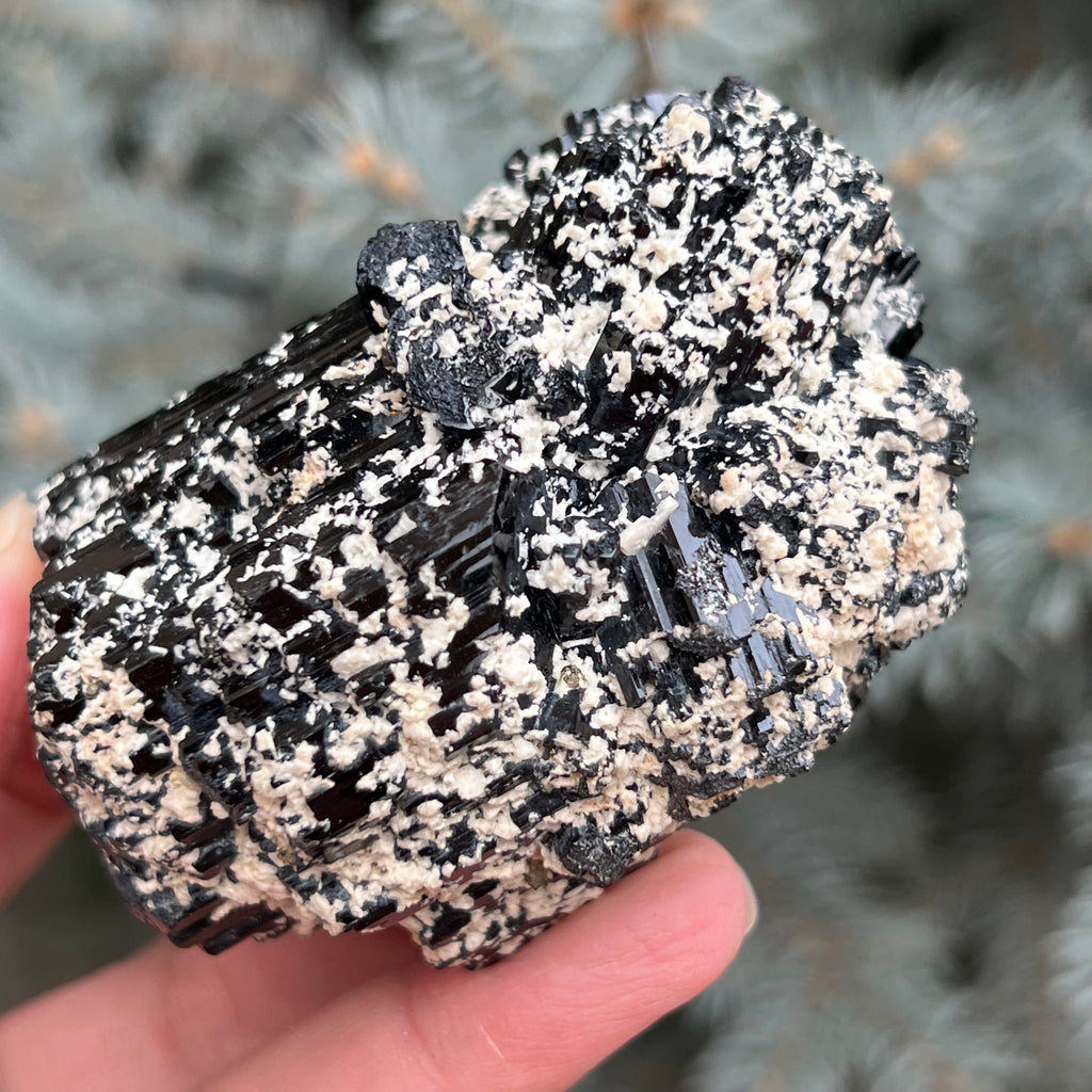 Cluster turmalina neagra model 4 din Erongo, Namibia, druzy.ro, cristale 4