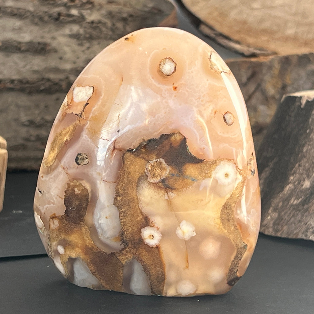 Agat coral floare din Madagascar model 17, pietre semipretioase - druzy.ro 2 