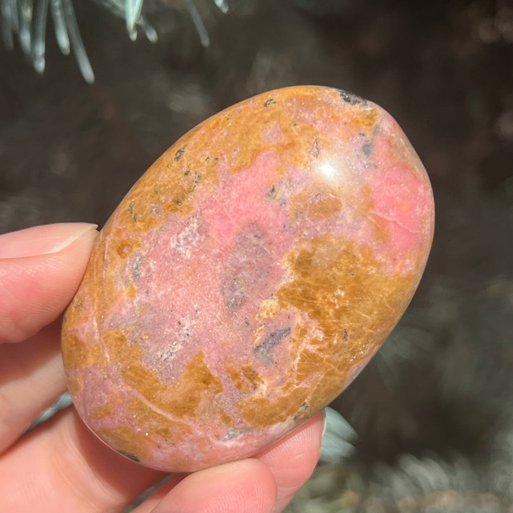 Palmstone rodonit Pakistan model 1, druzy.ro, pietre semipretioase 7