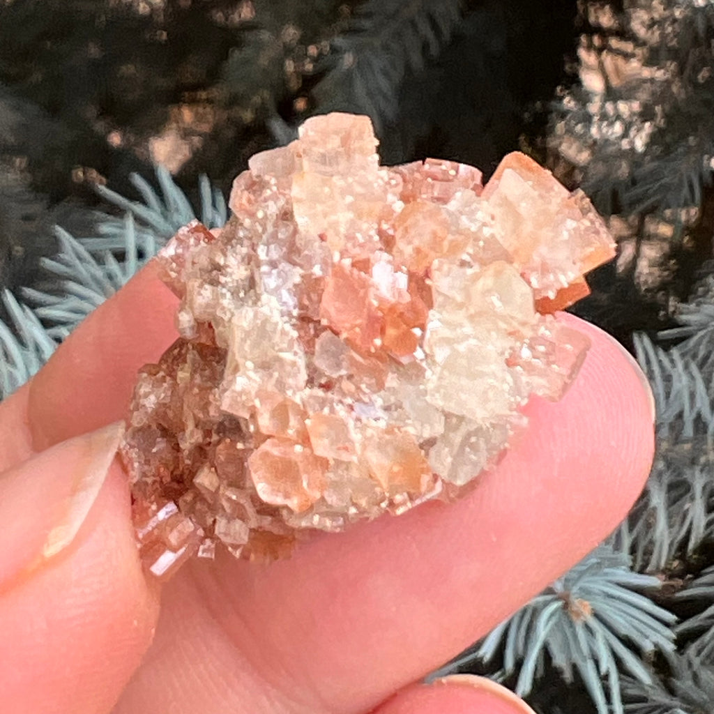 Cluster cristal aragonit din Maroc model 12, druzy.ro, pietre semipretioase 5