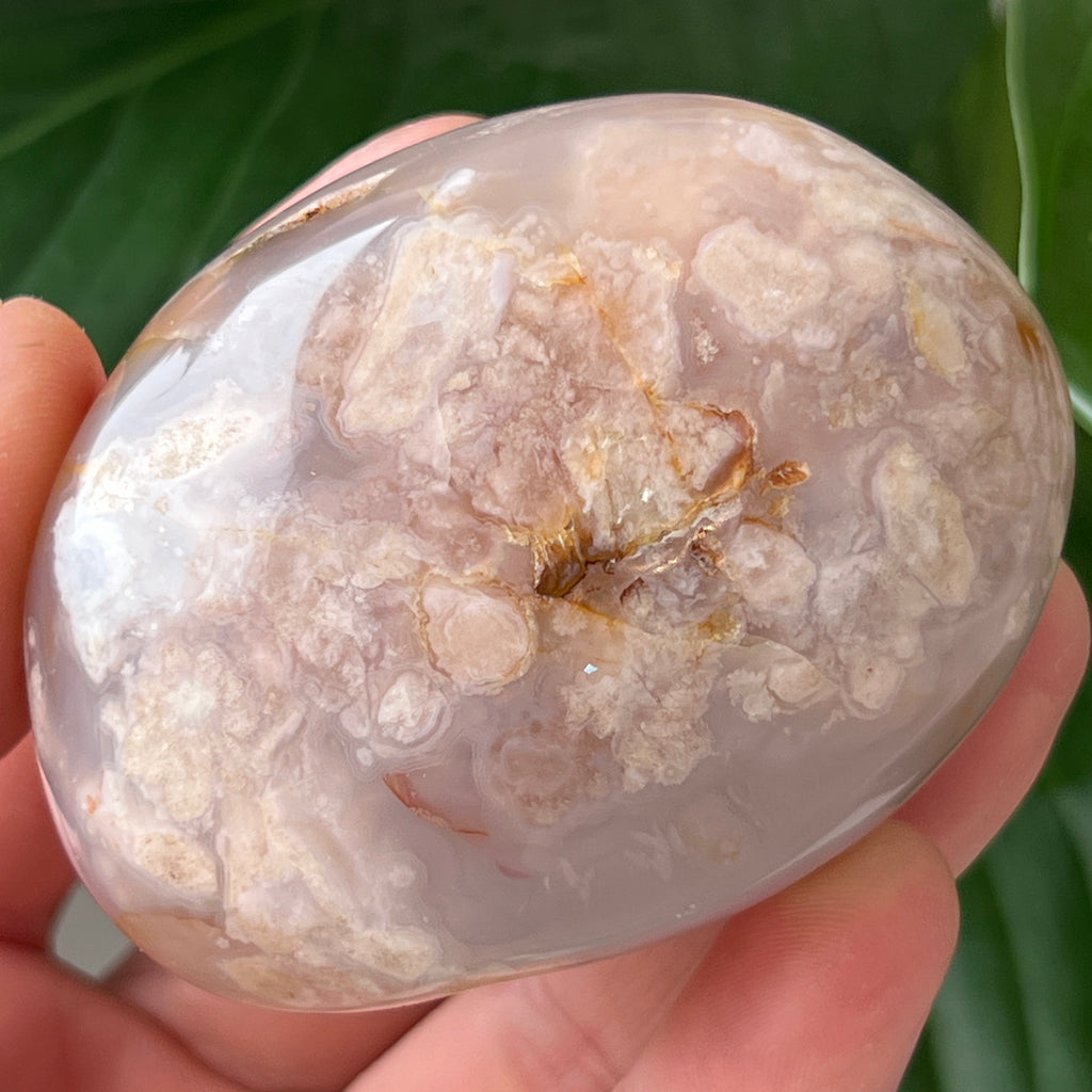 Palmstone agat coral floare rosu m31, pietre semipretioase - druzy.ro 2 