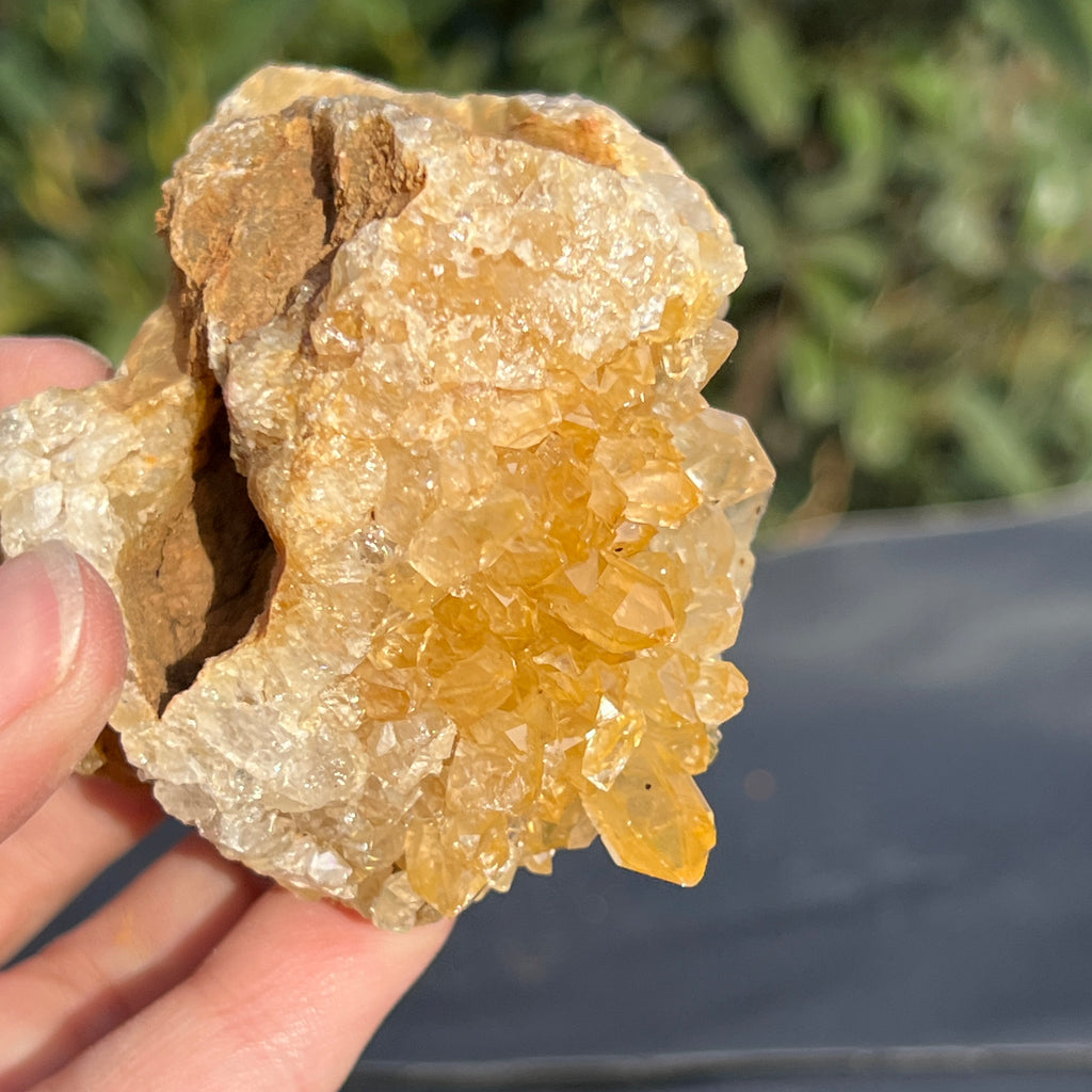 Cluster cuart lamaie Zambia, golden healer model 49, pietre semipretioase - druzy.ro 9 