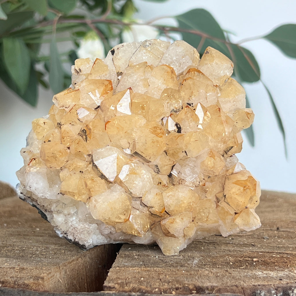 Cluster de Citrin tratat termic| Model 3, pietre semipretioase - druzy.ro 1 