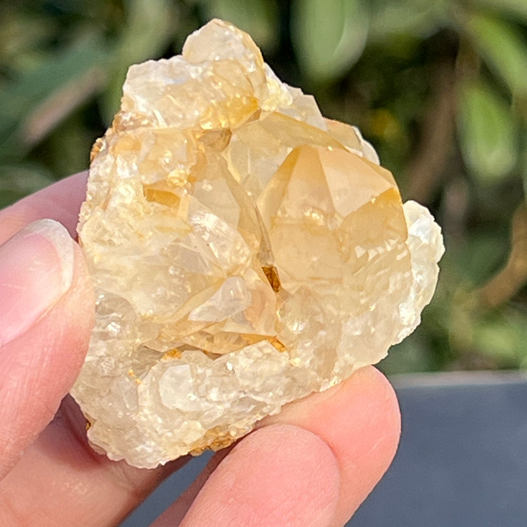 Cluster cuart lamaie Zambia, golden healer model 55, pietre semipretioase - druzy.ro 5 