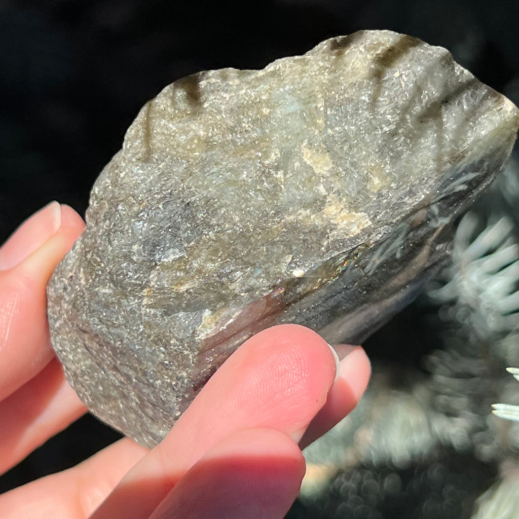 Labradorit piatra bruta polisata pe o fata m10, druzy.ro, cristale 5