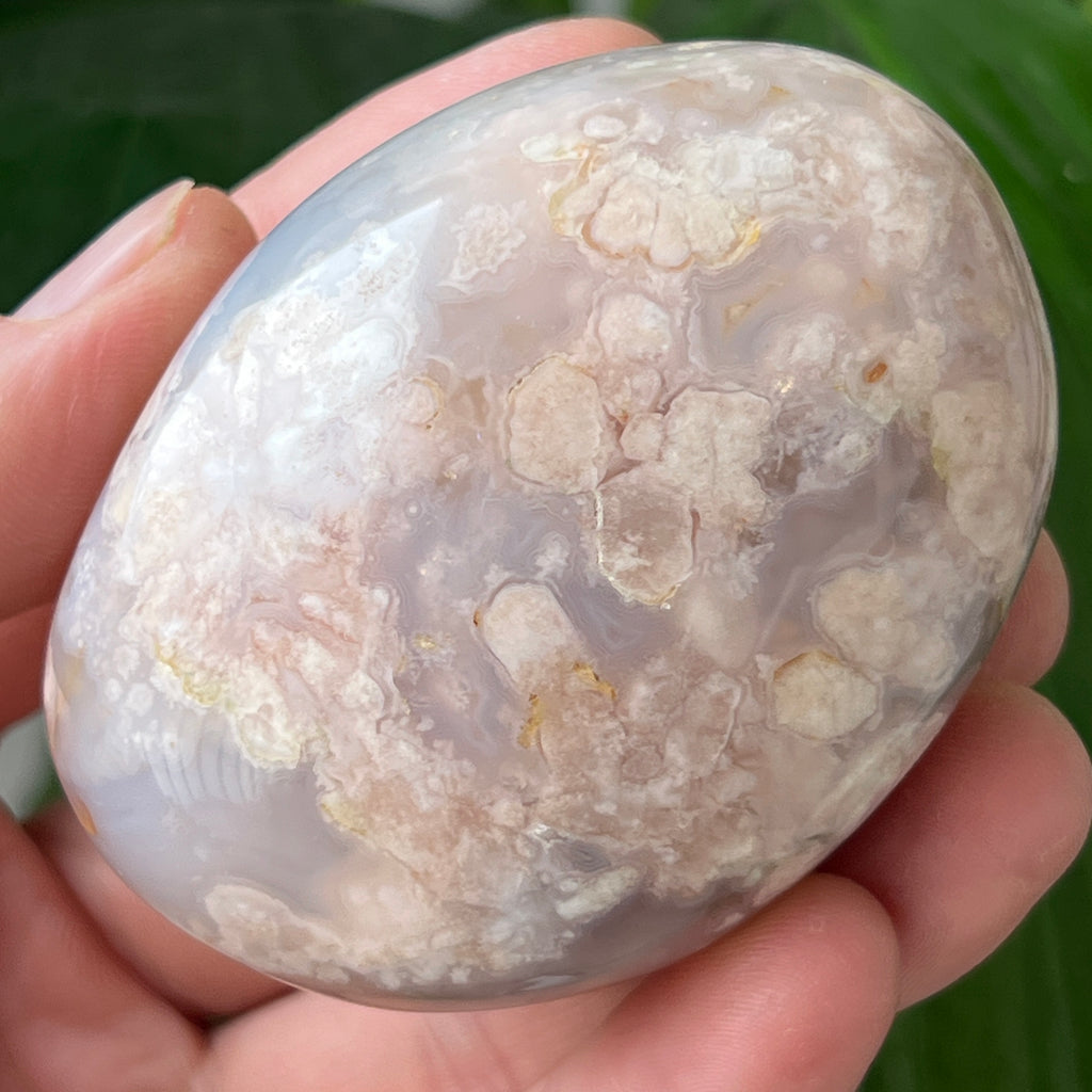 Palmstone agat coral floare rosu m31, pietre semipretioase - druzy.ro 1 