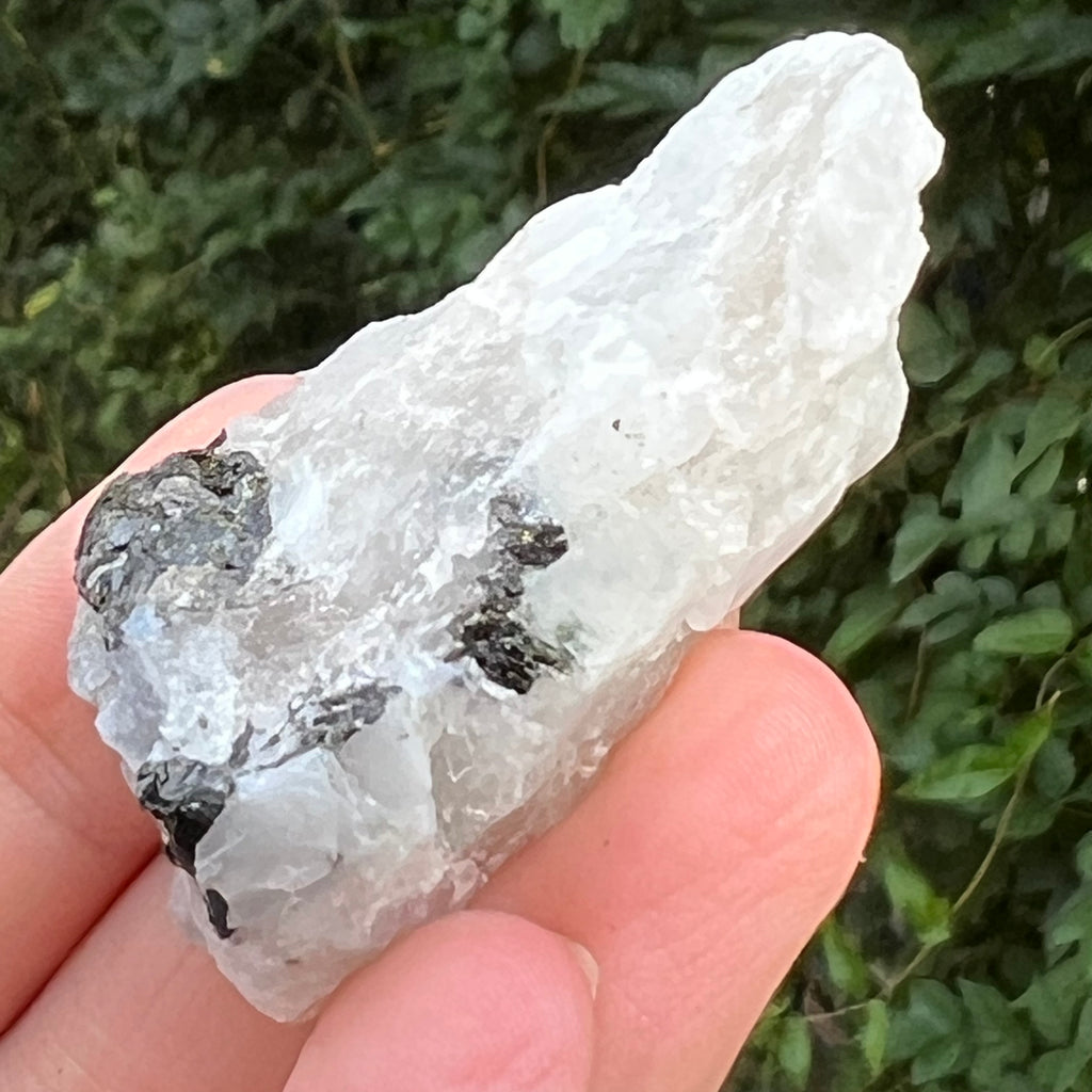 Piatra lunii cu insertii turmalina -piatra bruta m7, druzy.ro, cristale 2