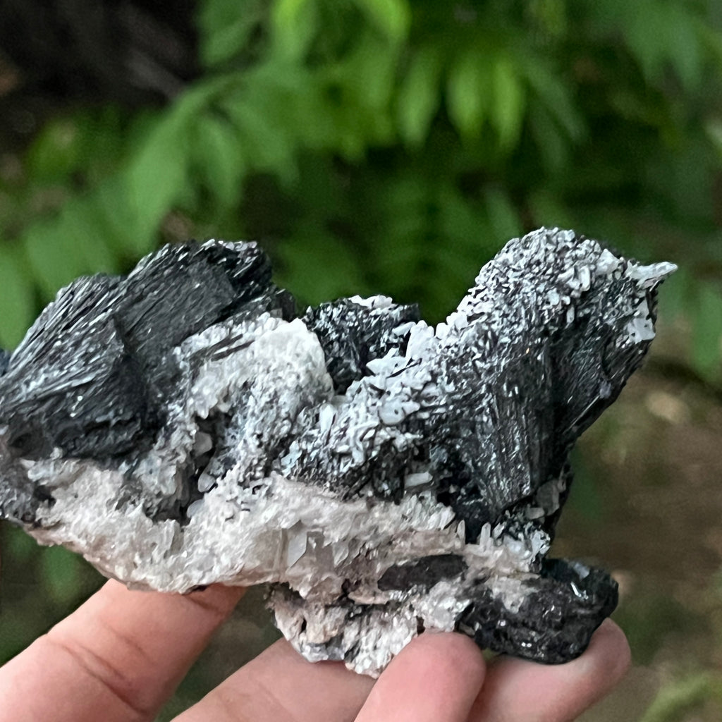 Cluster turmalina neagra model 11 din Erongo, Namibia, pietre semipretioase - druzy.ro 3 