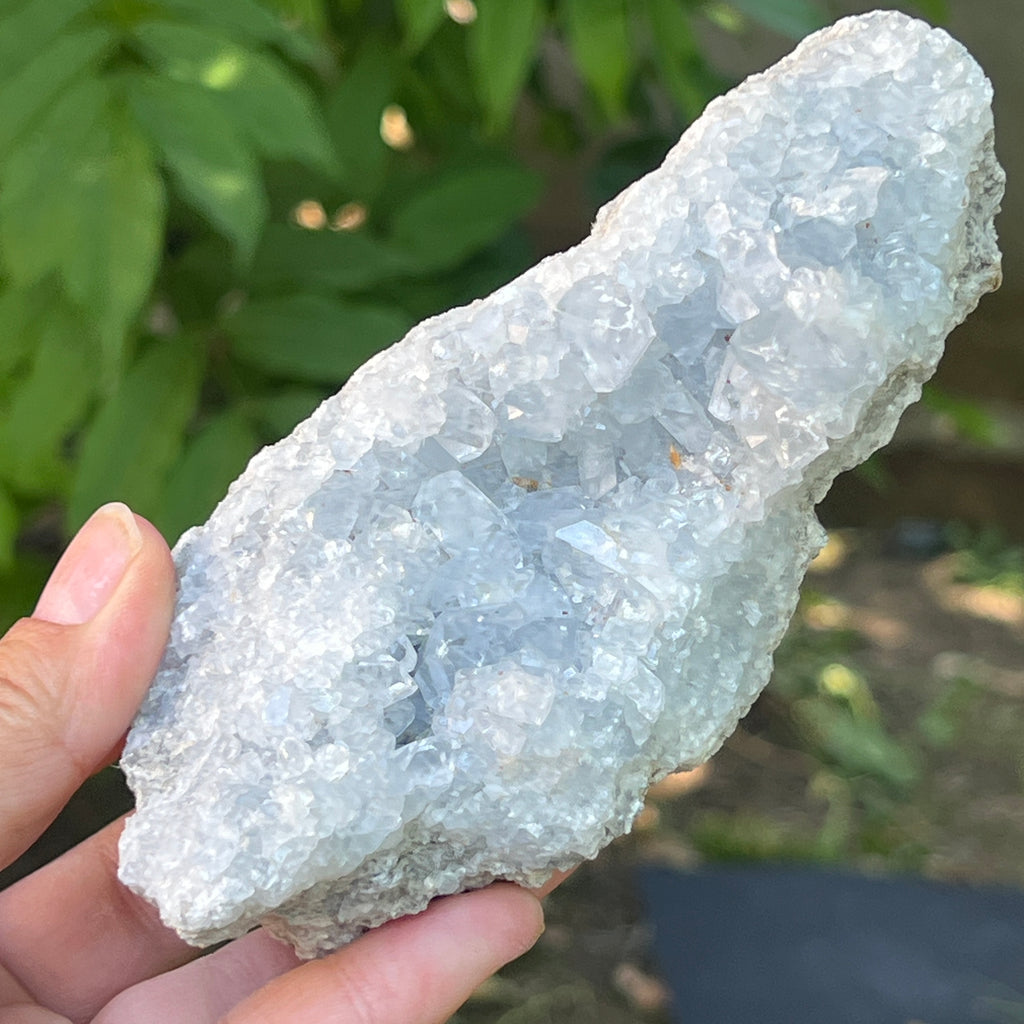 Celestit / celestina cluster m8, pietre semipretioase - druzy.ro 4 