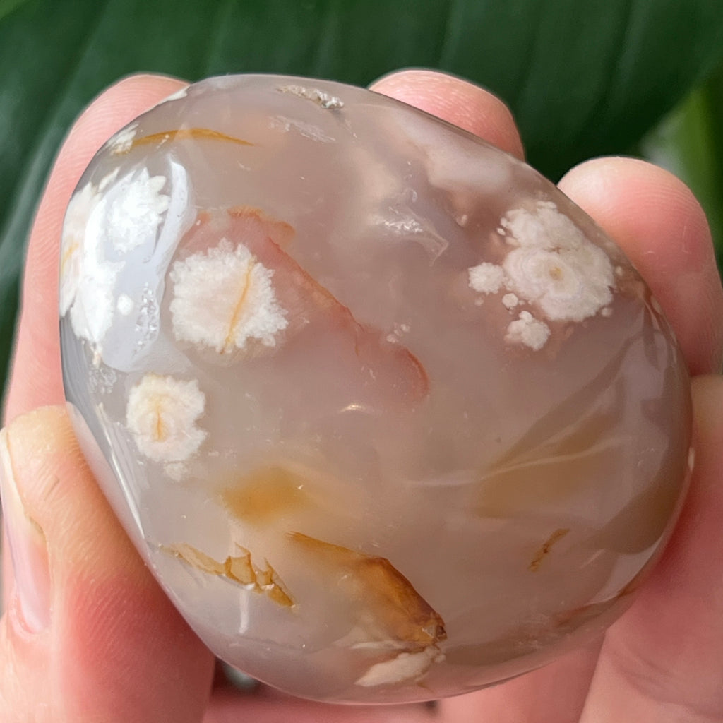Palmstone agat coral floare rosu m30, pietre semipretioase - druzy.ro 2 