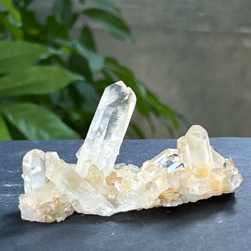 Cluster cuart incolor, floare de mina, cristal de stanca Zimbabwe m12, pietre semipretioase - druzy.ro 2 