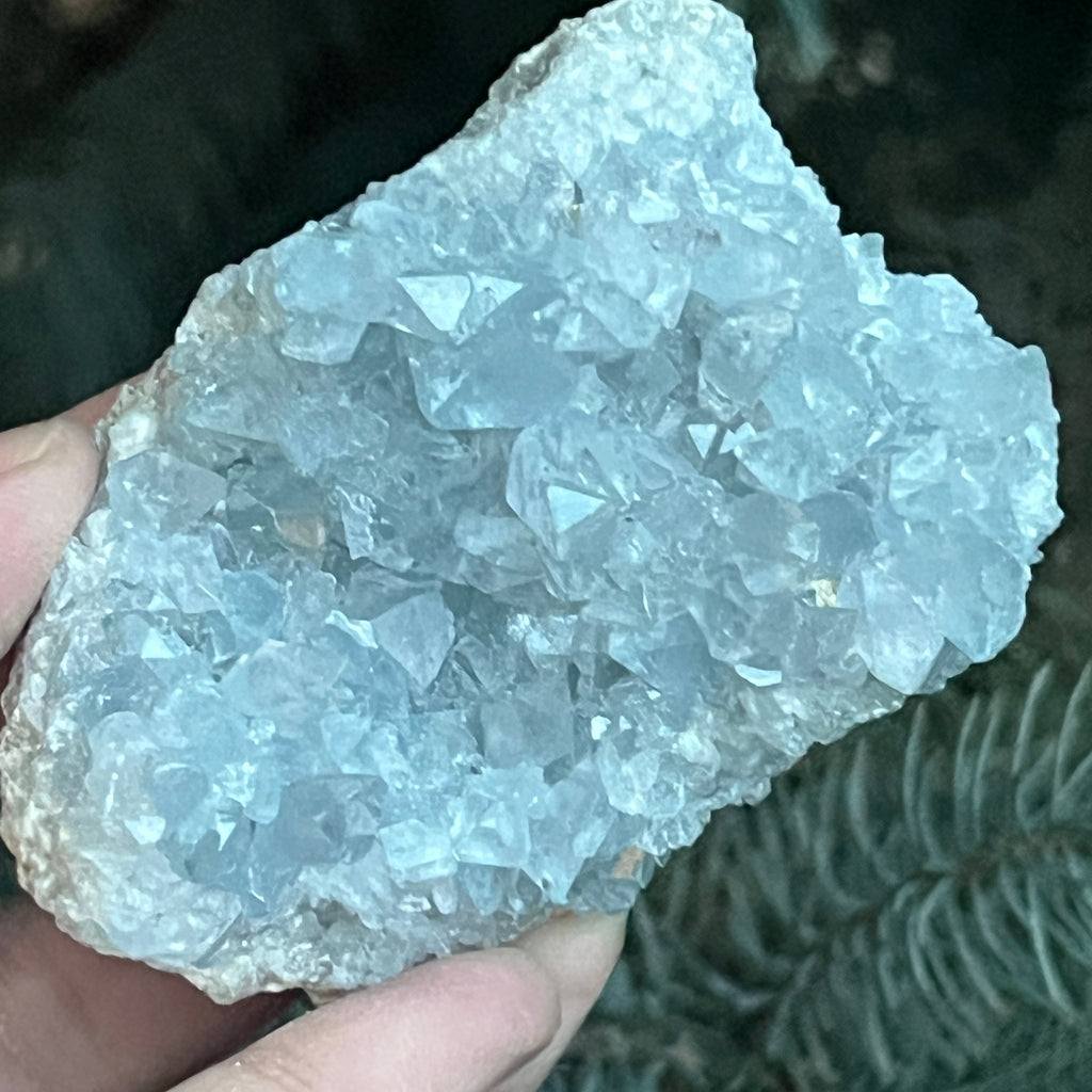 Celestit/celestina cluster m2, pietre semipretioase - druzy.ro 1 