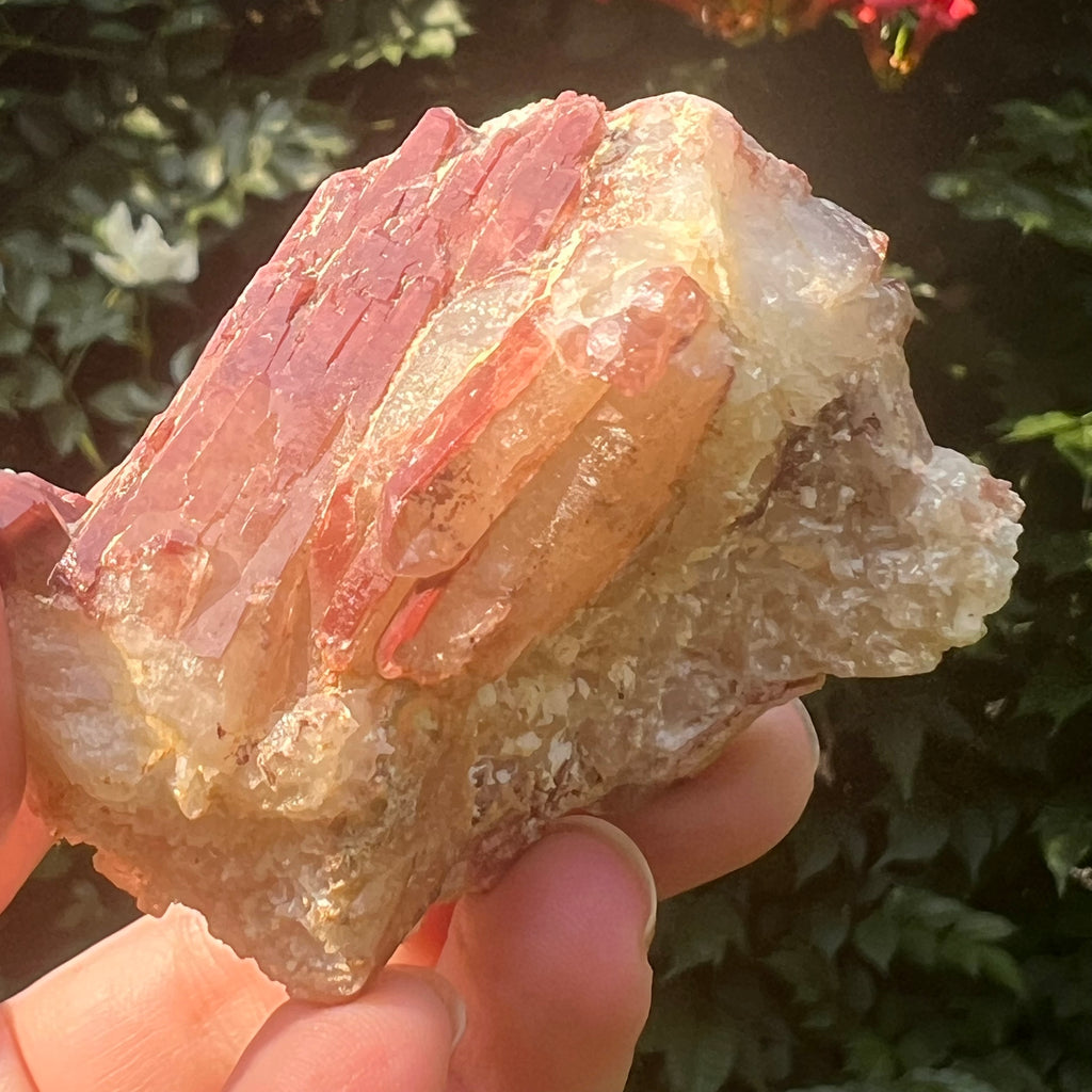 Cluster rosu hematoid din Zimbabwe model 5, pietre semipretioase - druzy.ro 2