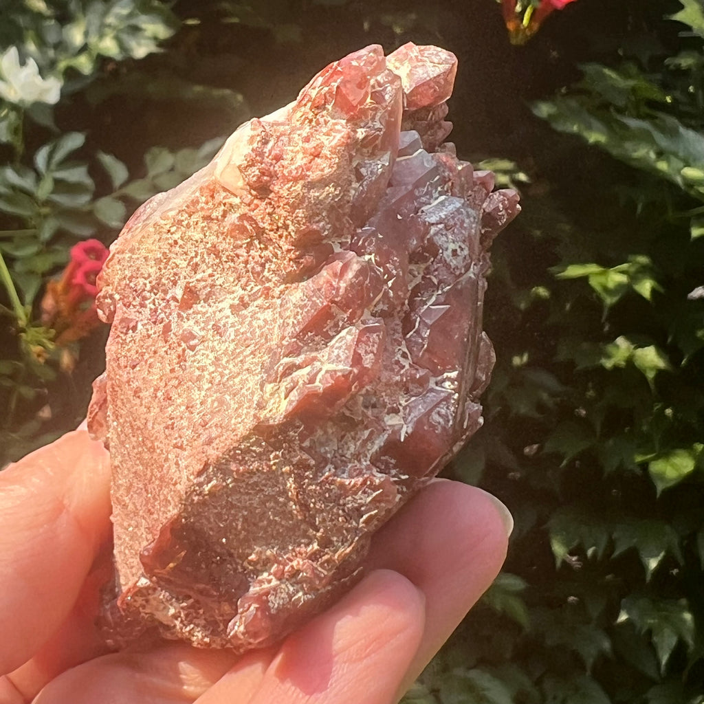 Cluster rosu hematoid din Zimbabwe model 6, pietre semipretioase - druzy.ro 7