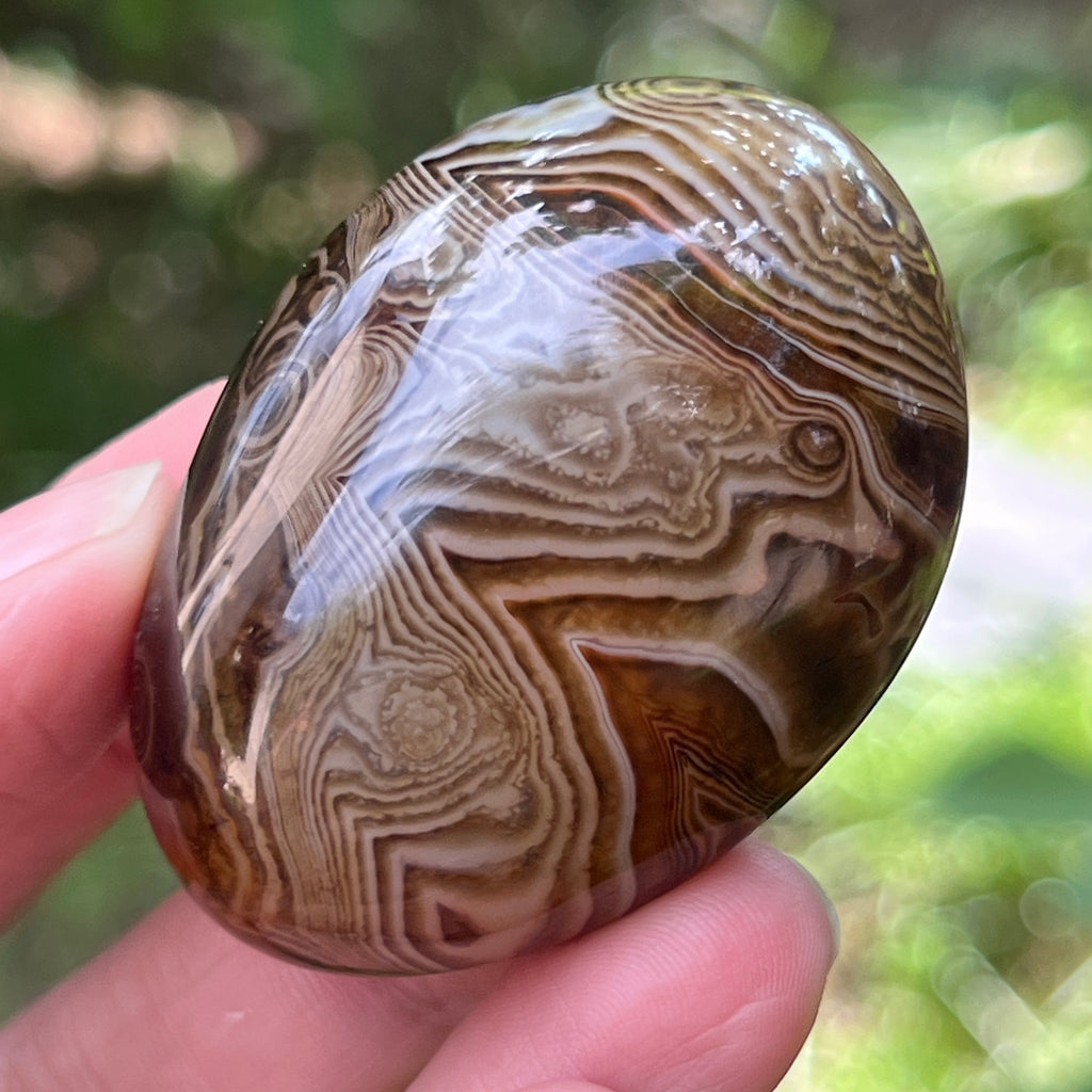 Palmstone agat dungat m7, pietre semipretioase - druzy.ro 5 