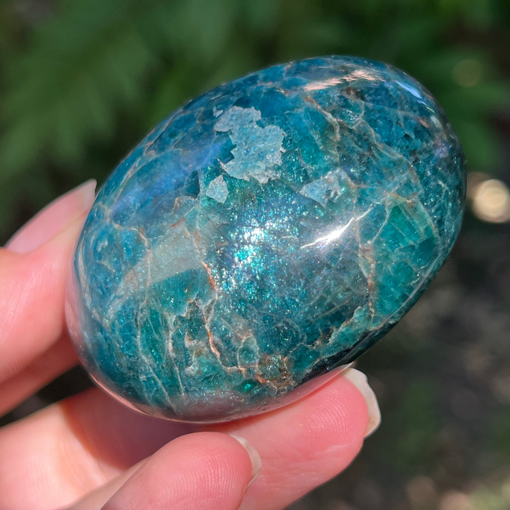 Apatit rulat palmstone | Model 18, pietre semipretioase - druzy.ro 3 