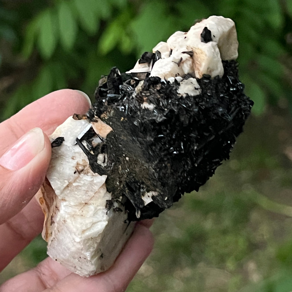 Cluster turmalina neagra model 10 din Erongo, Namibia, pietre semipretioase - druzy.ro 8 