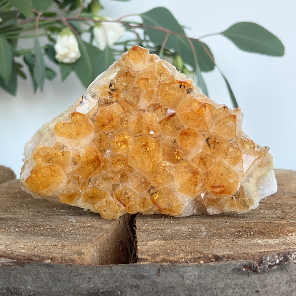 Cluster de Citrin tratat termic| Model 9, pietre semipretioase - druzy.ro 1 