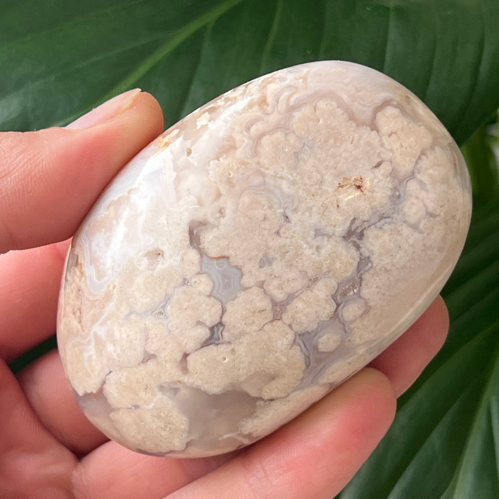 Palmstone agat coral floare rosu md10, pietre semipretioase - druzy.ro 2 
