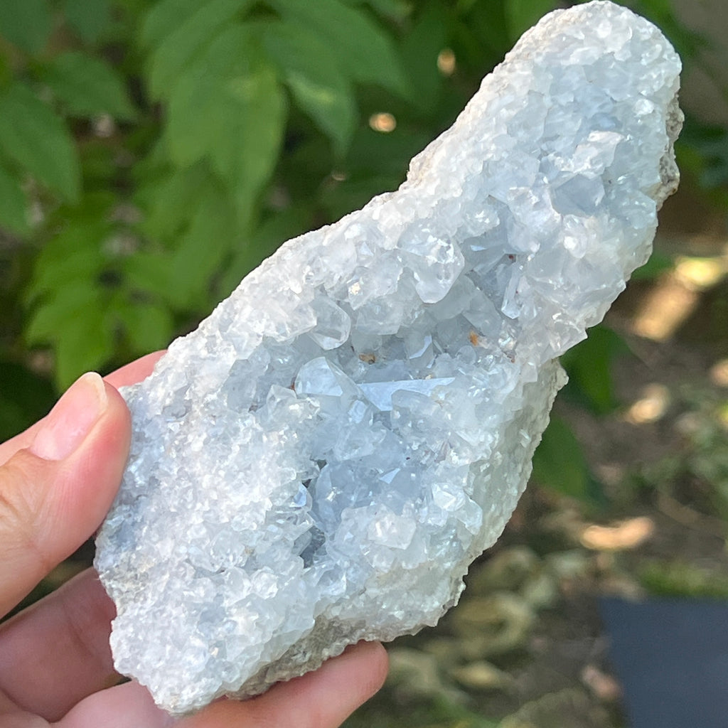 Celestit / celestina cluster m8, pietre semipretioase - druzy.ro 6 