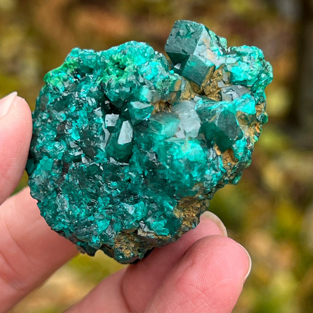 Dioptaz cluster din Congo model 10, pietre semipretioase - druzy.ro 9 