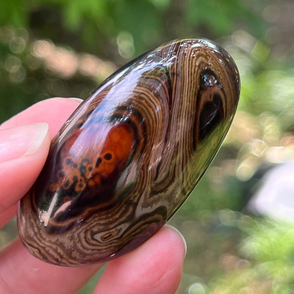 Palmstone agat dungat m6, pietre semipretioase - druzy.ro 3 