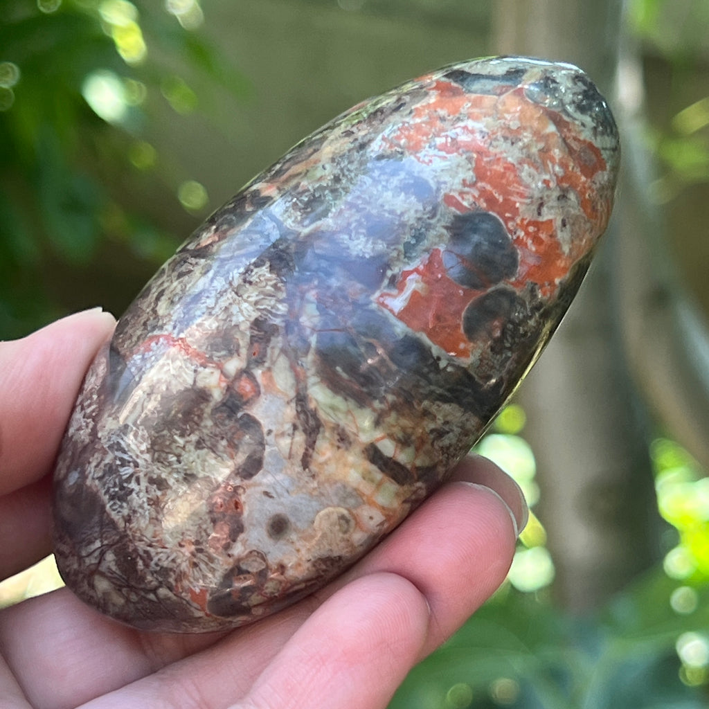 Palmstone riolit de munte | Model 5, pietre semipretioase - druzy.ro 2 