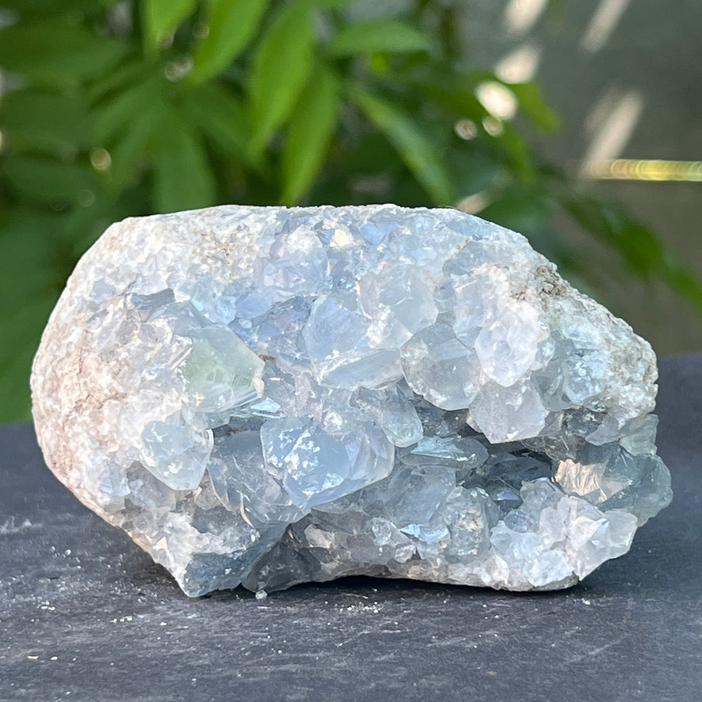 Celestit /celestina cluster m12, pietre semipretioase - druzy.ro 5 